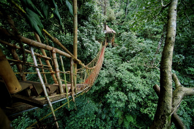 Hängebrücke beim Tree House Resort in Indien