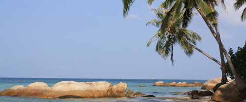 Shambala - Strand und Palmen